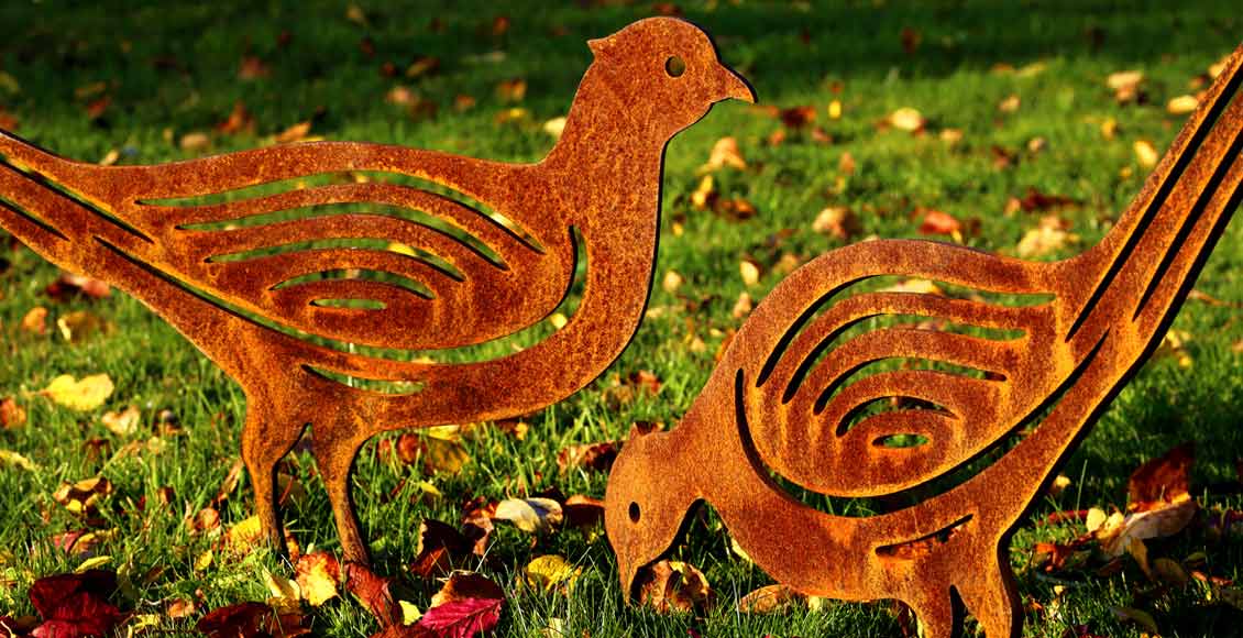 A brace of pheasants